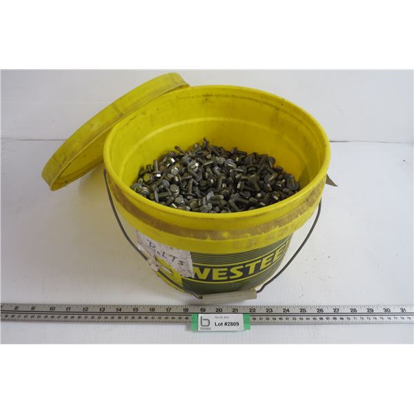 Pail of 1" Bolts