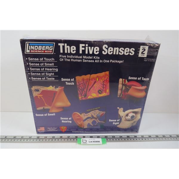 Five Senses Educational Model Kit (unused)