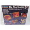 Image 2 : Five Senses Educational Model Kit (unused)