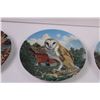 Image 3 : (3) Decorative Owl Plates
