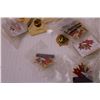 Image 3 : Box of Assorted Saskatchewan Pins