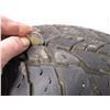 Image 2 : *Trail mark tires 245/75R16