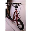 Image 2 : *Belize Toucan Scooter 12” (NEW From Closed Store)
