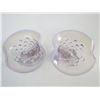 Image 2 : (2) Hobnail clear glass cornucopia