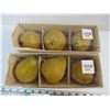 Image 2 : (10) Ornamental Pears