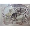 Image 2 : (2) Framed Animal Pictures (21" x 25")
