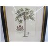 Image 2 : Framed Picture (20" x 24")