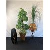 Image 1 : Decorative Plants