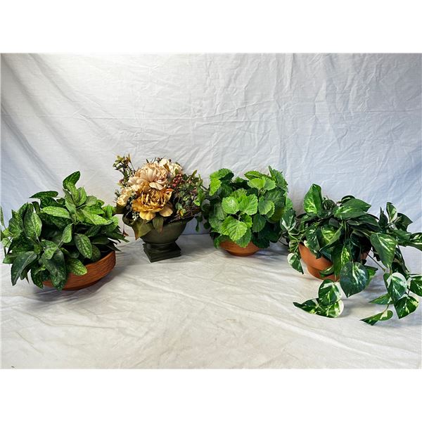 Decorative Plants