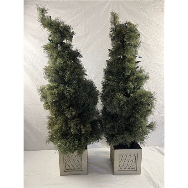 Potted Christmas Trees