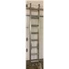 Image 1 : Extension Ladder