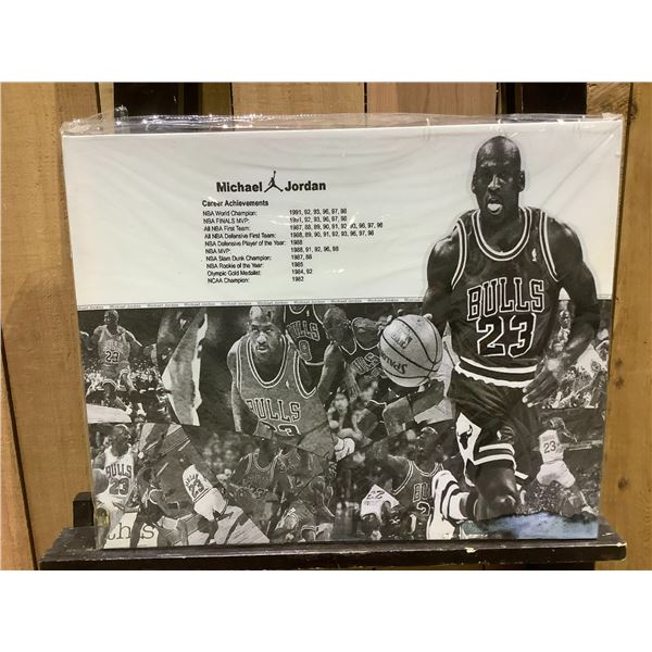 MICHAEL JORDAN PRINT