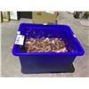 Image 2 : LARGE QUANTITY OF PENNIES