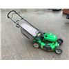 Image 2 : LAWNBOY GAS MOWER