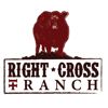 Image 3 : Right Cross Ranch (Troy Gordon) 3 Red Simmental X Bred Heifers