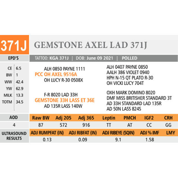 GEMSTONE AXEL LAD 371J