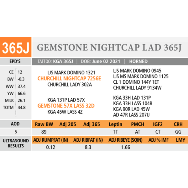GEMSTONE NIGHTCAP LAD 365J