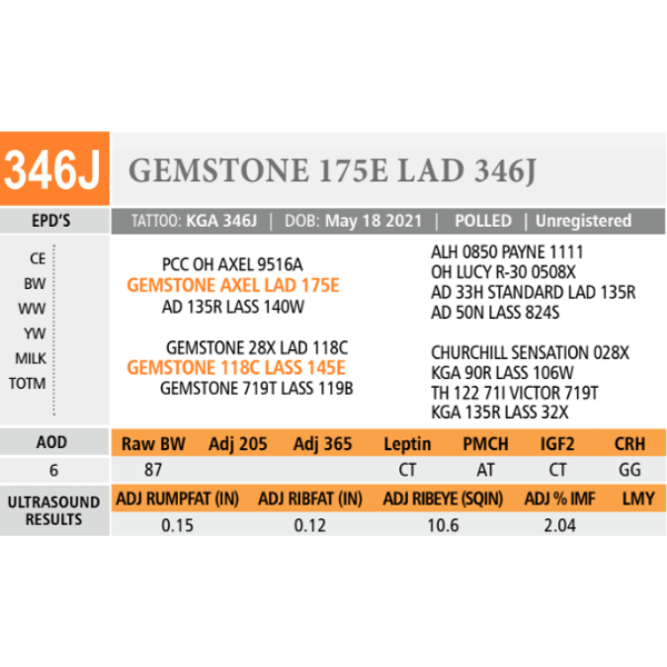 GEMSTONE 175E LAD 346J