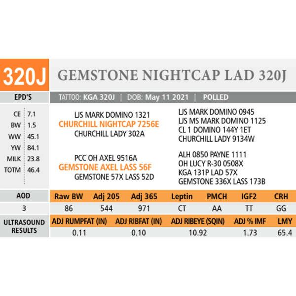 GEMSTONE NIGHTCAP LAD 320J