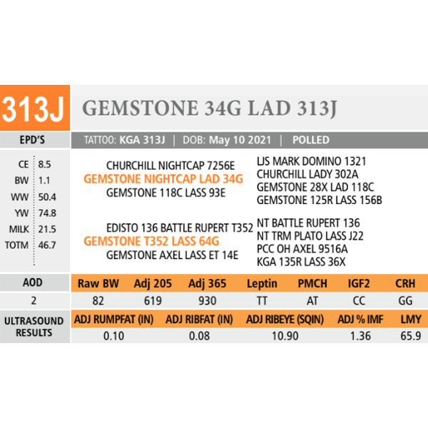 GEMSTONE 34G LAD 313J