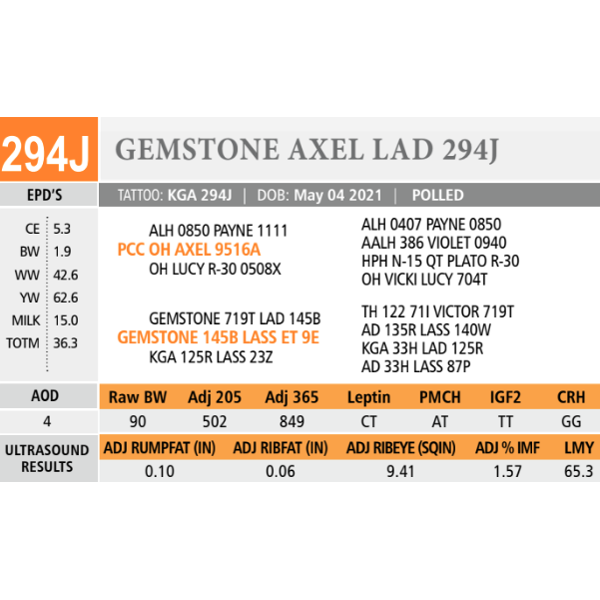 GEMSTONE AXEL LAD 294J