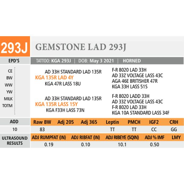 GEMSTONE LAD 293J