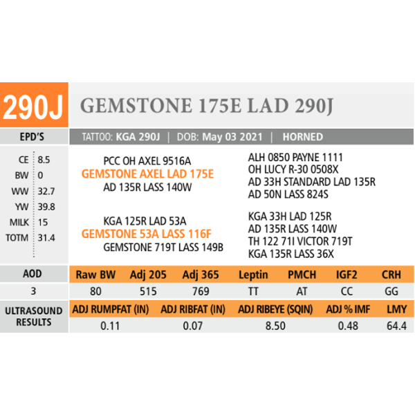 GEMSTONE 175E LAD 290J