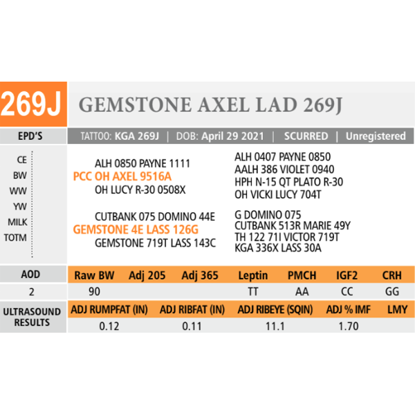 GEMSTONE AXEL LAD 269J