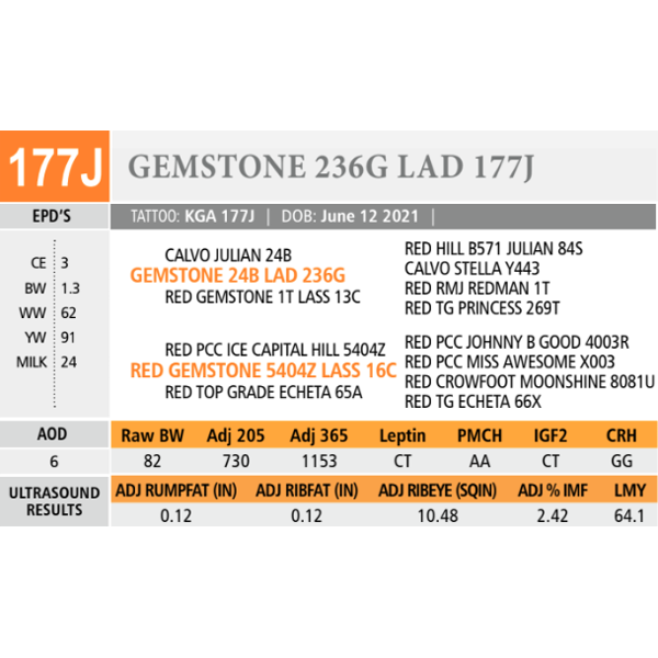 GEMSTONE 236G LAD 177J