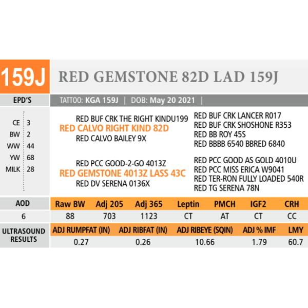 RED GEMSTONE 82D LAD 159J