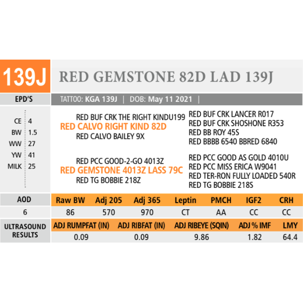 RED GEMSTONE 82D LAD 139J