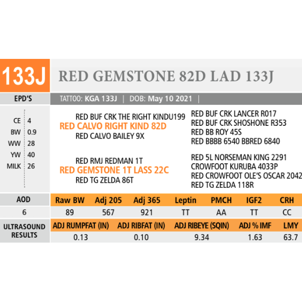 RED GEMSTONE 82D LAD 133J