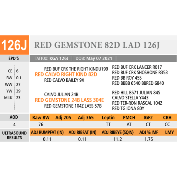RED GEMSTONE 82D LAD 126J