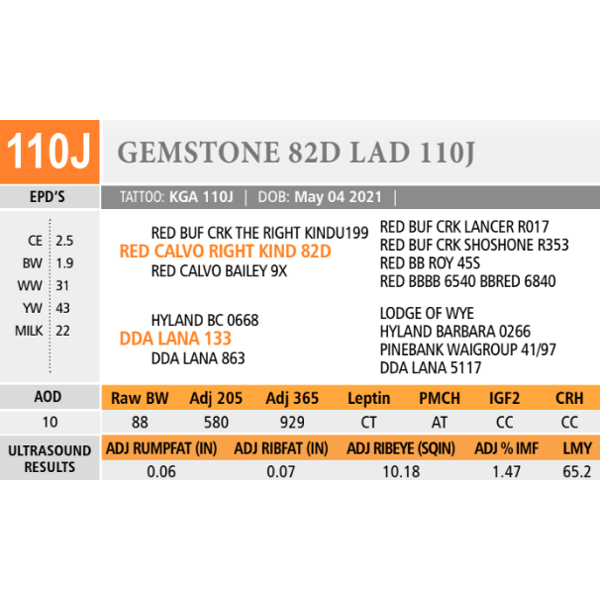 GEMSTONE 82D LAD 110J