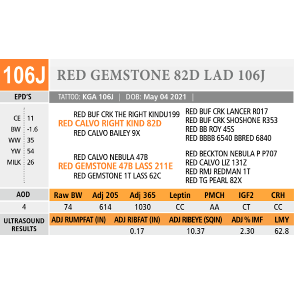 RED GEMSTONE 82D LAD 106J
