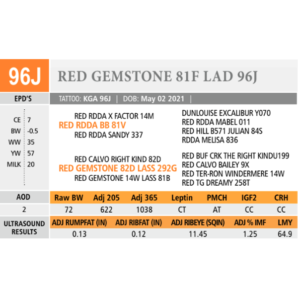 RED GEMSTONE 81F LAD 96J