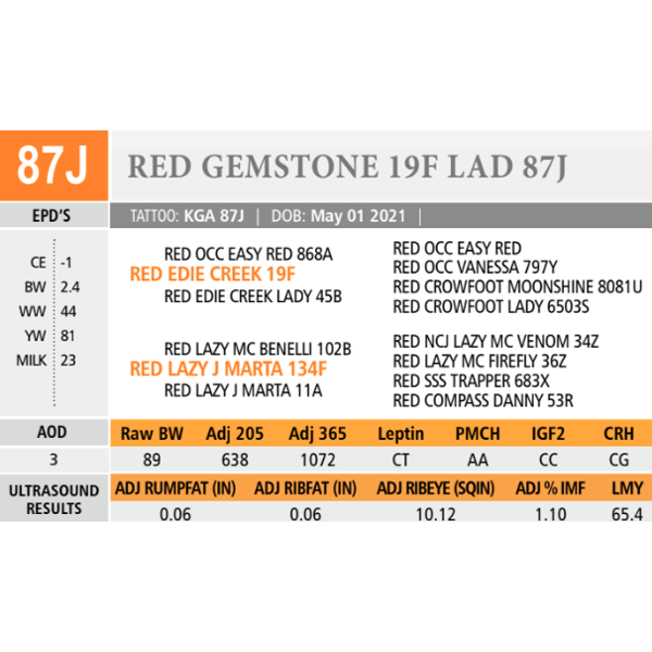 RED GEMSTONE 19F LAD 87J