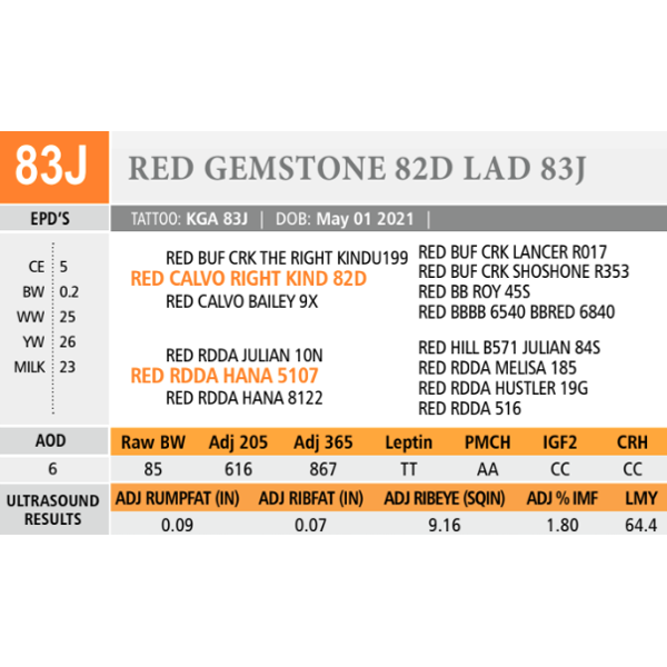RED GEMSTONE 82D LAD 83J