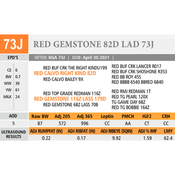 RED GEMSTONE 82D LAD 73J