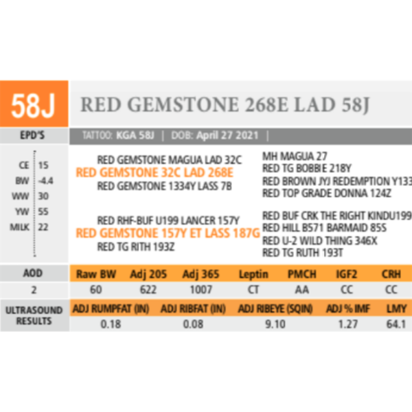 RED GEMSTONE 268E LAD 58J