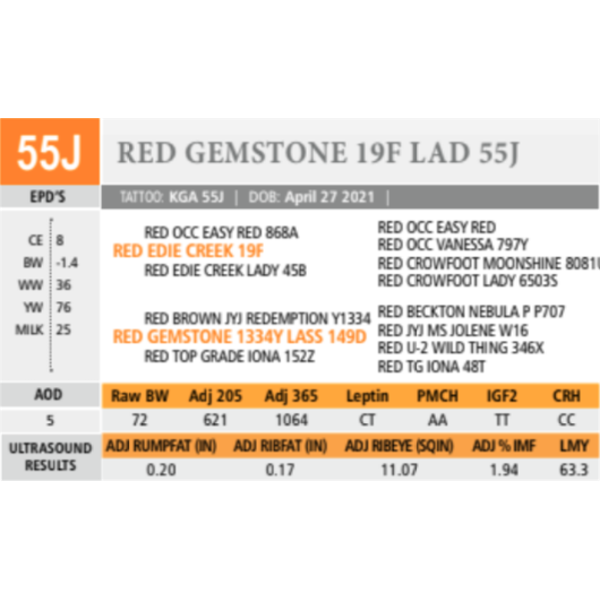RED GEMSTONE 19F LAD 55J