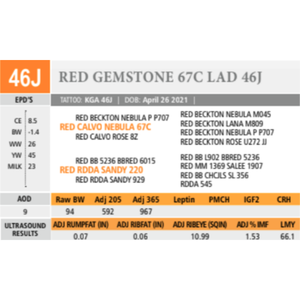 RED GEMSTONE 67C LAD 46J