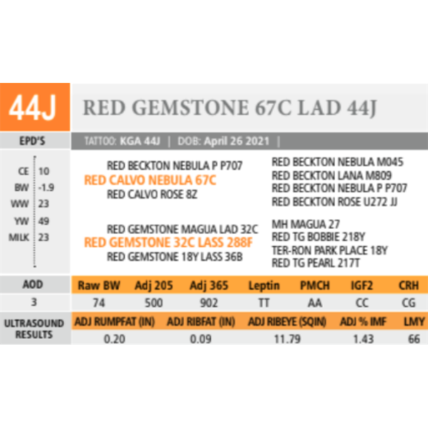 RED GEMSTONE 67C LAD 44J