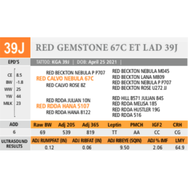 RED GEMSTONE 67C ET LAD 39J