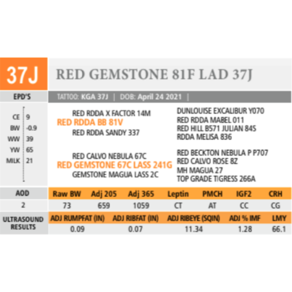 RED GEMSTONE 81F LAD 37J