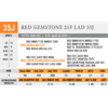Image 2 : RED GEMSTONE 21F LAD 35J