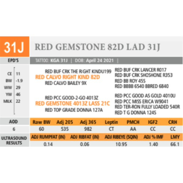 RED GEMSTONE 82D LAD 31J