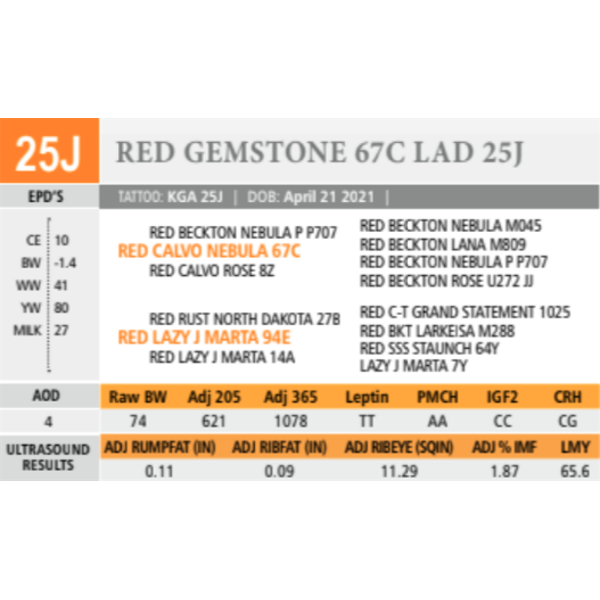 RED GEMSTONE 67C LAD 25J