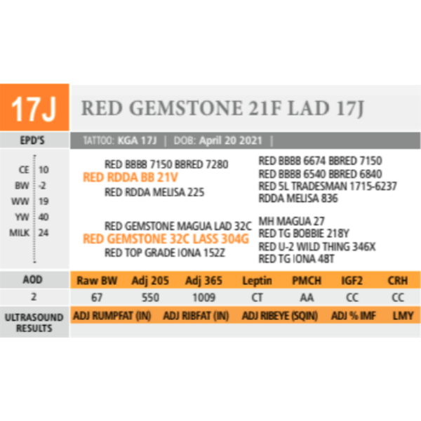 RED GEMSTONE 21F LAD 17J