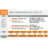 Image 1 : RED GEMSTONE 21F LAD 17J